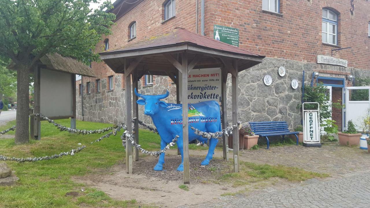 Ferienwohnung Finja In Putgarten, Kap Arkona Ruegen Exterior photo