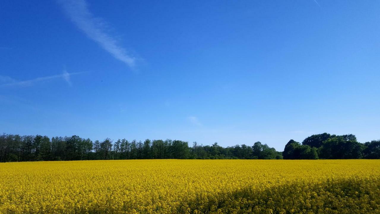 Ferienwohnung Finja In Putgarten, Kap Arkona Ruegen Exterior photo